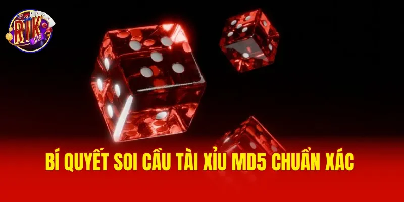 Bí quyết soi cầu Tài xỉu MD5 chuẩn xác 