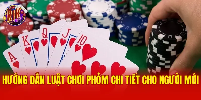Hướng dẫn luật đánh phỏm chi tiết nhất cho người mới