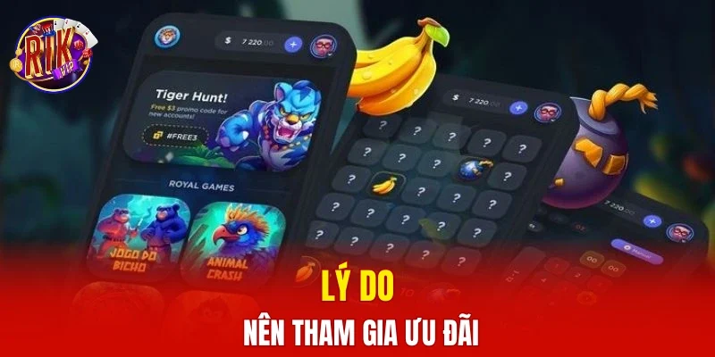 Lý do nên tham gia ưu đãi