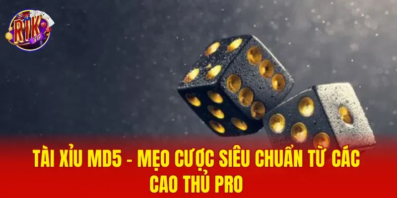 Tài Xỉu MD5 - Mẹo Cược Siêu Chuẩn Từ Các Cao Thủ Pro