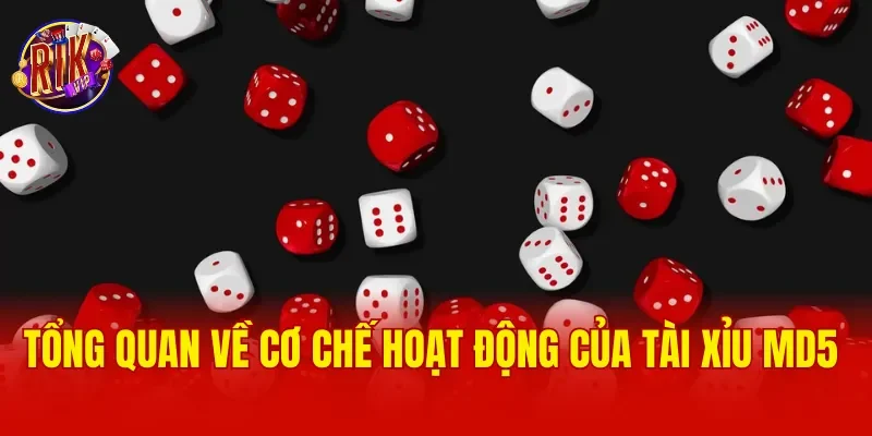 Tổng quan về cơ chế hoạt động của Tài xỉu MD5